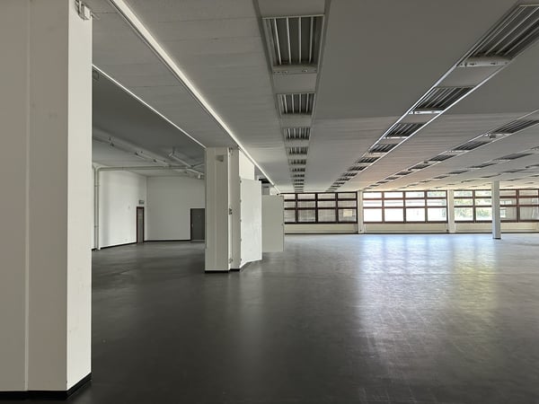 VENDESI AMPIO CAPANNONE/DEPOSITO COMMERCIALE/INDUSTRIALE 3