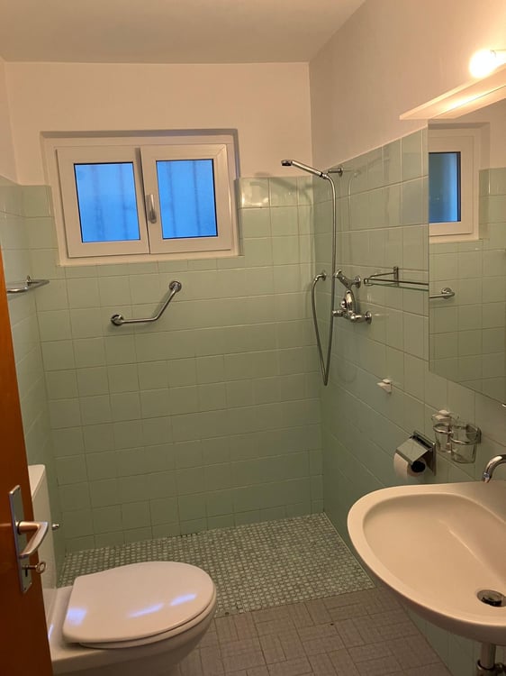 Affittasi casa di 2 appartamenti a Monte Brè 11