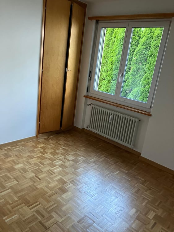 Affittasi casa di 2 appartamenti a Monte Brè 14