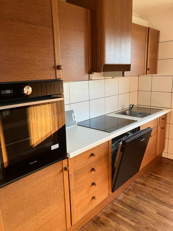 Affittasi casa di 2 appartamenti a Monte Brè 16