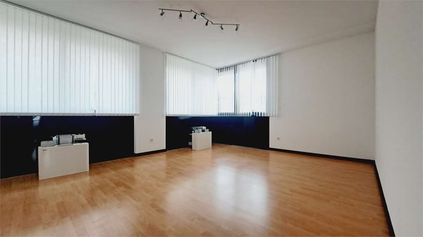 Affittasi spazio commerciale suddivisibile a Pambio Noranco 3