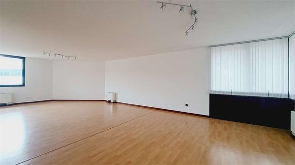 Affittasi spazio commerciale suddivisibile a Pambio Noranco 7