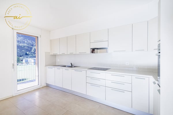 Luminoso attico di 1 locali con grande terrazza a Chiasso 8