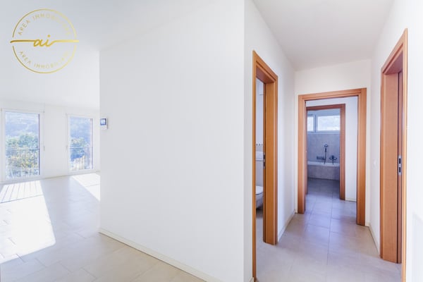 Luminoso attico di 1 locali con grande terrazza a Chiasso 10