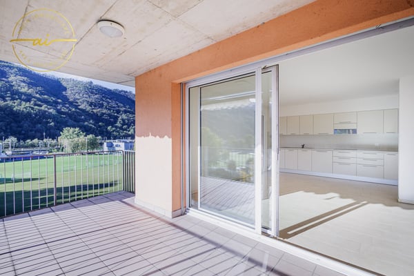 Luminoso attico di 1 locali con grande terrazza a Chiasso 2