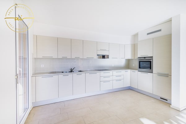 Luminoso attico di 1 locali con grande terrazza a Chiasso 9