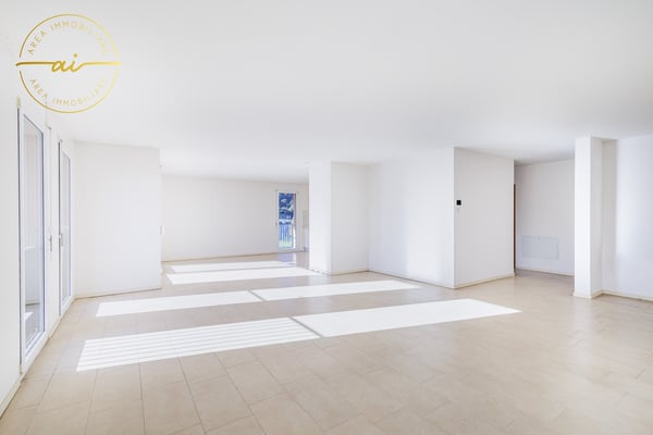 Luminoso attico di 1 locali con grande terrazza a Chiasso 5