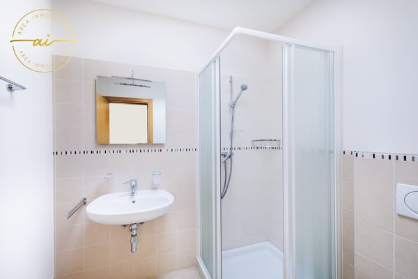 Luminoso attico di 1 locali con grande terrazza a Chiasso 15