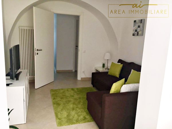 AMPIO E MODERNO 1.5 LOCALI CON CORTILE PRIVATO 6