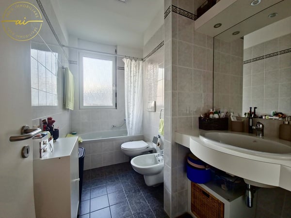 LUMINOSO APPARTAMENTO DI 1.5 LOCALI CON VISTA APERTA A PREGASSONA 13