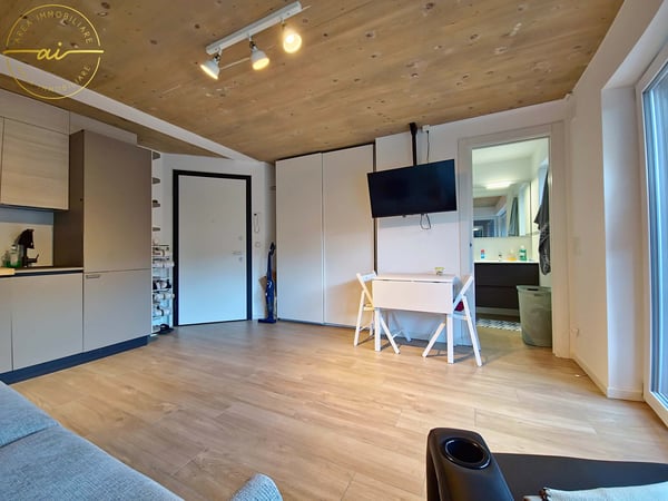 MODERNO MONOLOCALE CON GIARDINO A CADENAZZO 5