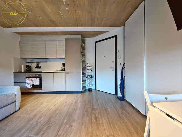 MODERNO MONOLOCALE CON GIARDINO A CADENAZZO 3