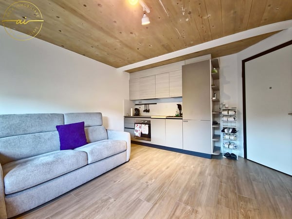 MODERNO MONOLOCALE CON GIARDINO A CADENAZZO 2