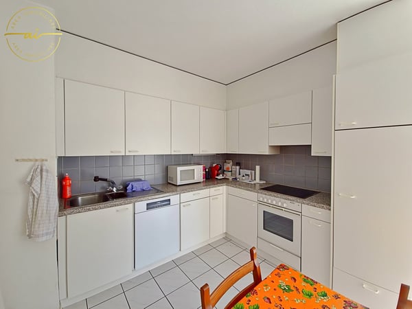 APPARTAMENTO 1.5 LOCALI CON TERRAZZA E VISTA LAGO A MASSAGNO 3