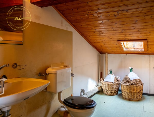 Casa unifamiliare con locale commerciale annesso 24