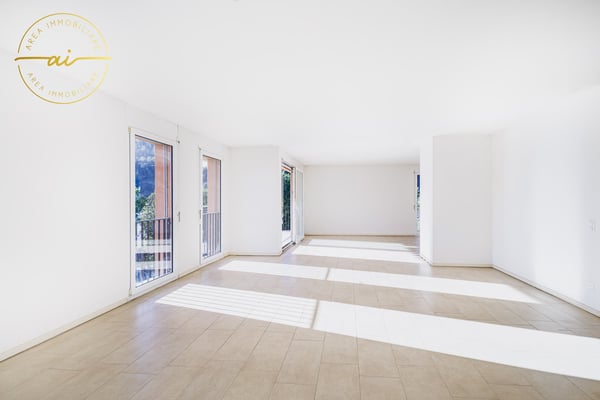 Luminoso attico di 1 locali con grande terrazza a Chiasso 4