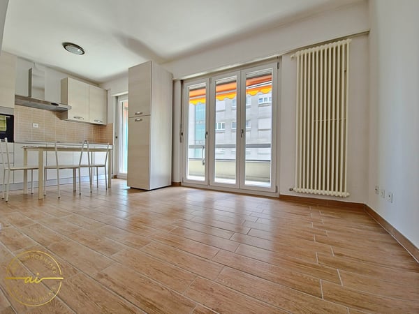 Accogliente Monolocale Rinnovato nel Cuore di Chiasso 1