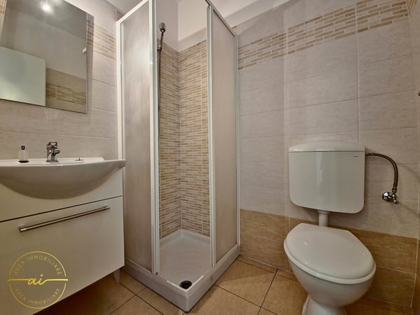 Accogliente Monolocale Rinnovato nel Cuore di Chiasso 5