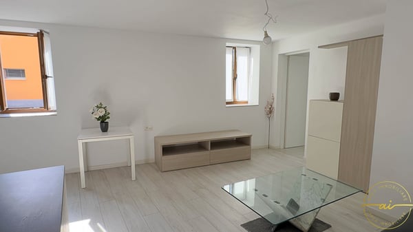 Comodo appartamento 1.5 locali a Bironico 4