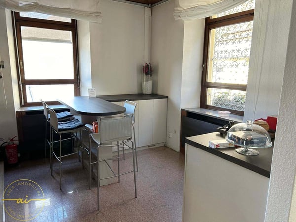 ELEGANTI UFFICI ARREDATI CON POSTEGGI INCLUSI A MENDRISIO 2