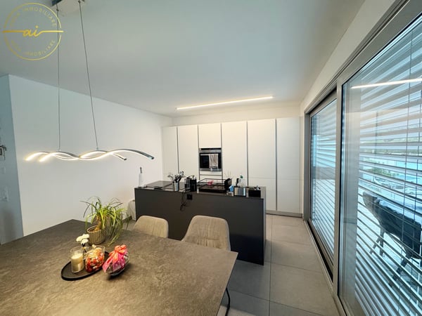 ATTICO 3.5 LOCALI CON AMPIA TERRAZZA NEL CUORE DI BELLINZONA 5