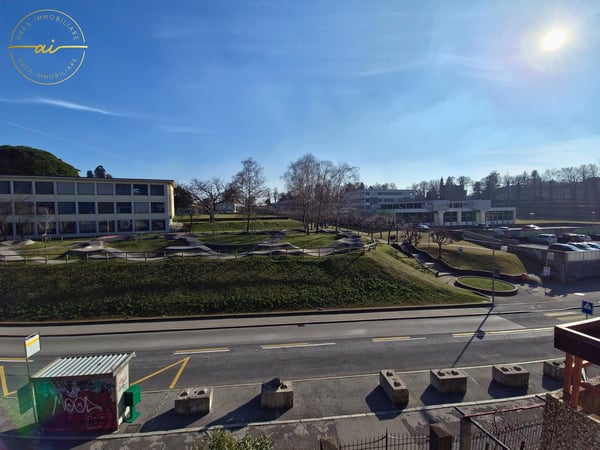 APPARTAMENTO DI 4 LOCALI CON AMPIA TERRAZZA COPERTA A MENDRISIO A REDDITO 15
