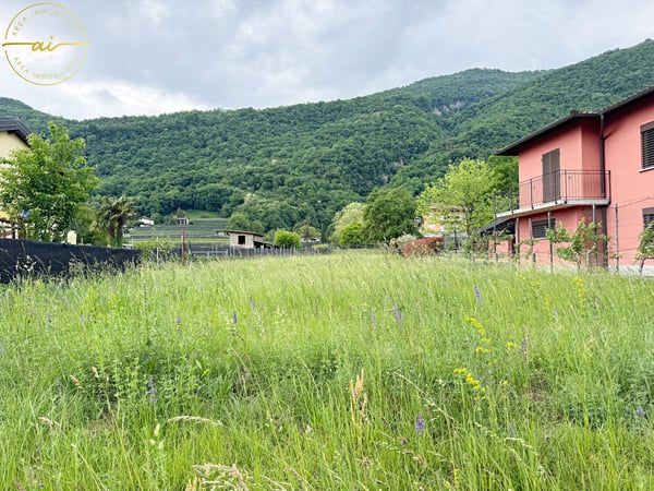 TERRENO EDIFICABILE IN POSIZIONE CENTRALE A RIVA SAN VITALE 2