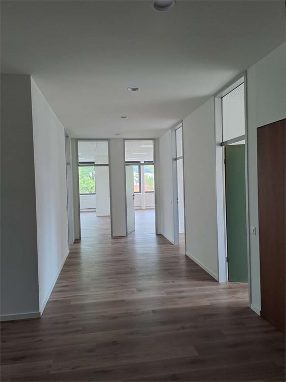 Prestigioso Spazio Commerciale a Lugano - Ristrutturato e Flessibile 3