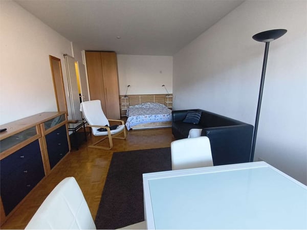 Massagno - Ampio Monolocale Arredato con Grande Terrazzo Vista Lago 5