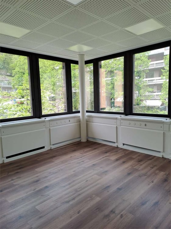 Prestigioso Spazio Commerciale a Lugano - Ristrutturato e Flessibile 7