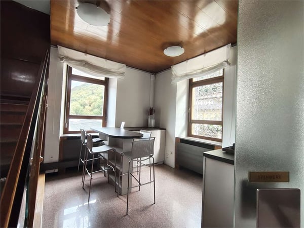 Spazi Comuni Funzionali con Servizi Inclusi a Mendrisio 3