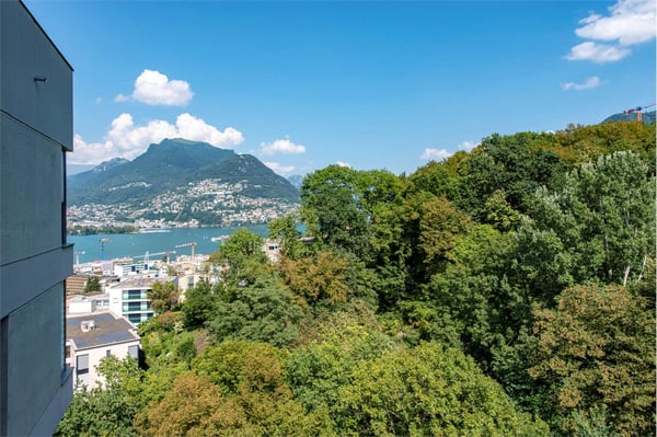 Vendesi 3,5 locali a reddito a Pazzallo 10