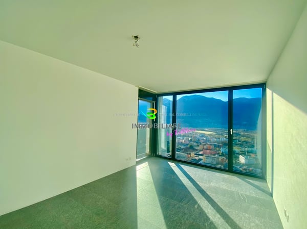 Loftwohnung mit traumhaftem Weitblick über den Lago, grosse Terrasse 10