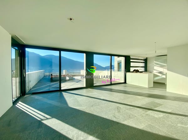 Loftwohnung mit traumhaftem Weitblick über den Lago, grosse Terrasse 3