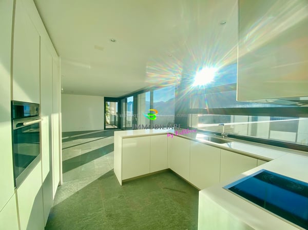 Loftwohnung mit traumhaftem Weitblick über den Lago, grosse Terrasse 4