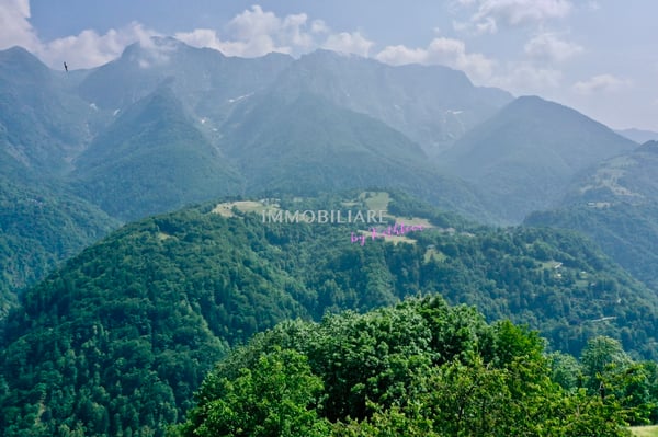 Edles Tessinerhaus in paradiesischer Lage: Weitblick, Sonne, Ruhe 13