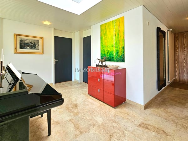 Mid century villa nahe Zürich, in nur 32 Minuten staufrei am Flughafen 12