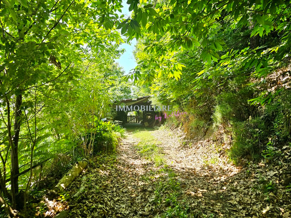 Vivere nella natura, 2'300 m² terreno edificabile, vista panoramica 11