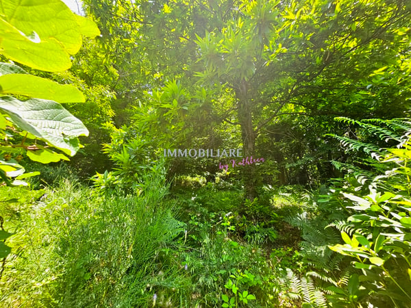 Vivere nella natura, 2'300 m² terreno edificabile, vista panoramica 8
