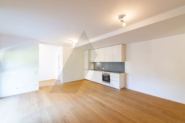 NUOVO APPARTAMENTO 2,5 LOCALI CON GIARDINO A LUGANO 5