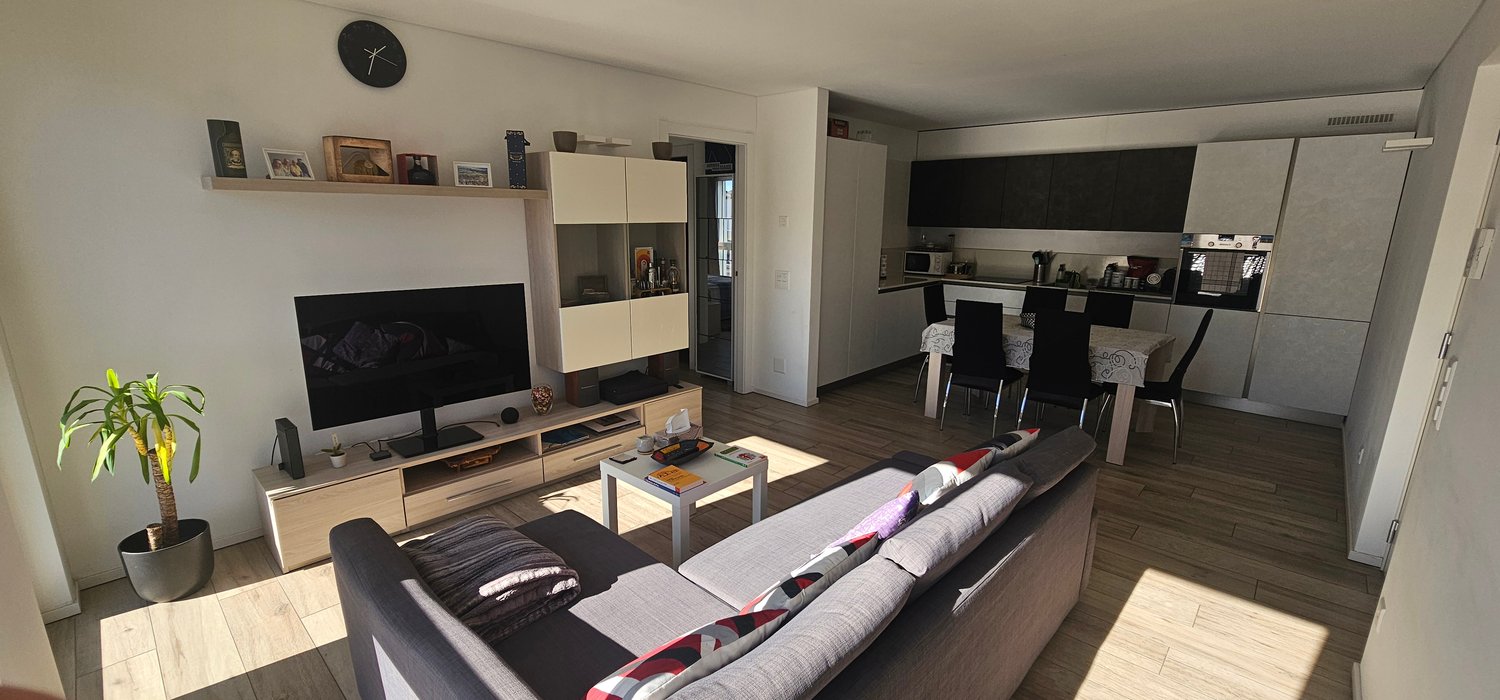 Gray couch, wooden floor, TV mounted on wall, dining table with chairs, kitchen island with black chairs, white walls, potted plant