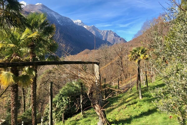 VERKAUFT ! Gemütliches Landhaus mit herrlichem Grundstück in ganzjähriger Sonnenlage 39