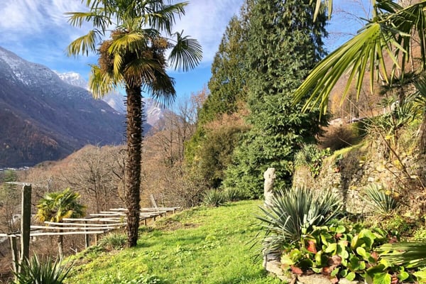 VERKAUFT ! Gemütliches Landhaus mit herrlichem Grundstück in ganzjähriger Sonnenlage 24