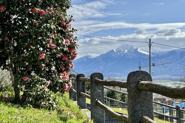 VERKAUFT !!! Charmantes Einfamilienhaus , mit Pool und mit separatem Gästestudio 34