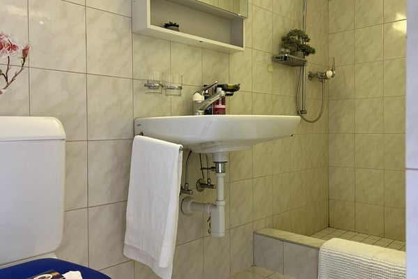 VERKAUFT !!! Charmantes Einfamilienhaus , mit Pool und mit separatem Gästestudio 30