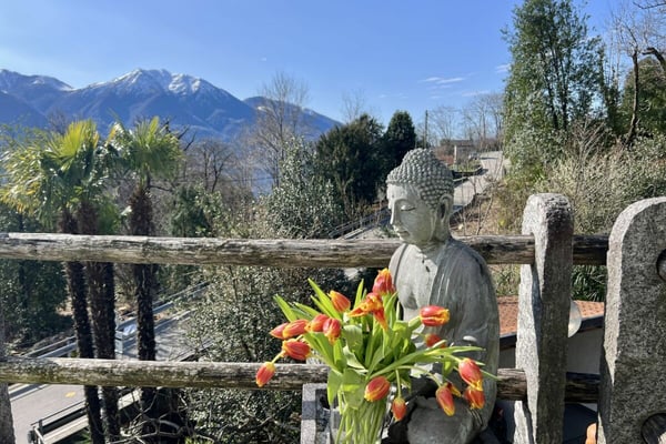 VERKAUFT !!! Charmantes Einfamilienhaus , mit Pool und mit separatem Gästestudio 36