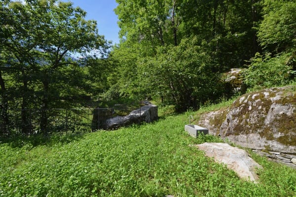 Charmantes Steinhaus mitten im Grünen 21