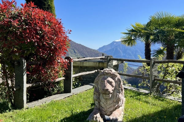Schönes Einfamilienhaus in herrlicher Sonnenlage mit grossem Garten, eigenem Weinberg und Lift 45