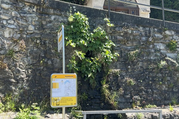LEBENSTRAUM TESSIN - Charmant renoviertes Dorfhaus mit grossem Atelier ideal für Kunst&Kultur und B&B 78