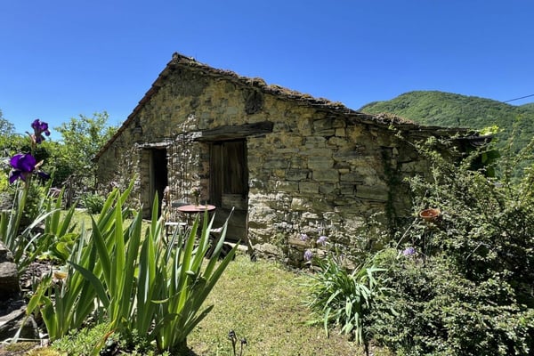 LEBENSTRAUM TESSIN - Charmant renoviertes Dorfhaus mit grossem Atelier ideal für Kunst&Kultur und B&B 5